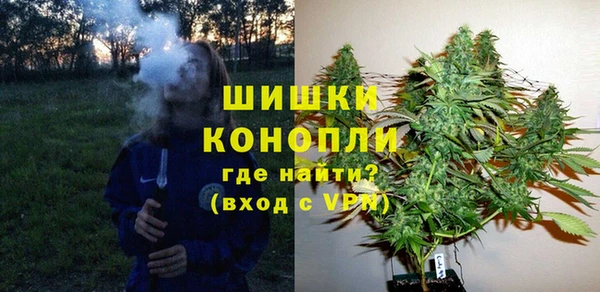 ГАЛЛЮЦИНОГЕННЫЕ ГРИБЫ Киренск