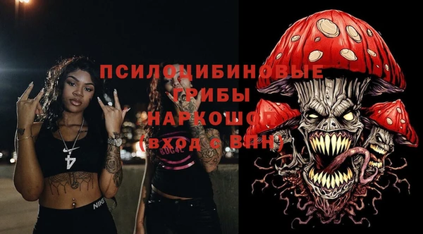 ГАЛЛЮЦИНОГЕННЫЕ ГРИБЫ Киренск