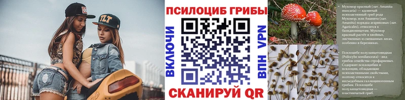 Купить закладки  Бирюсинск  Псилоцибиновые грибы прущие грибы 